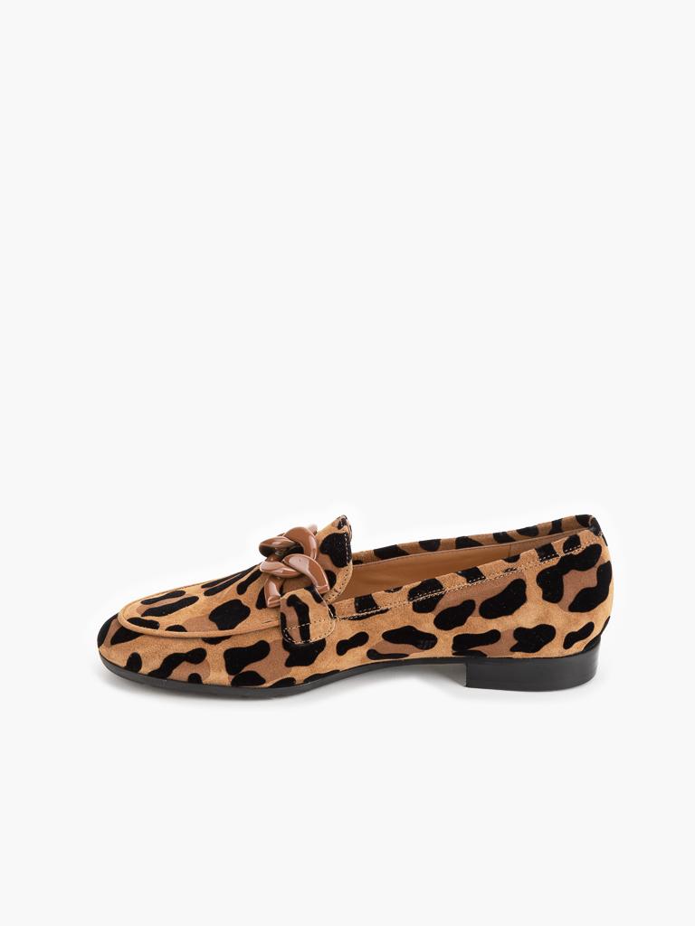 AGNESE294-LEOPARDO