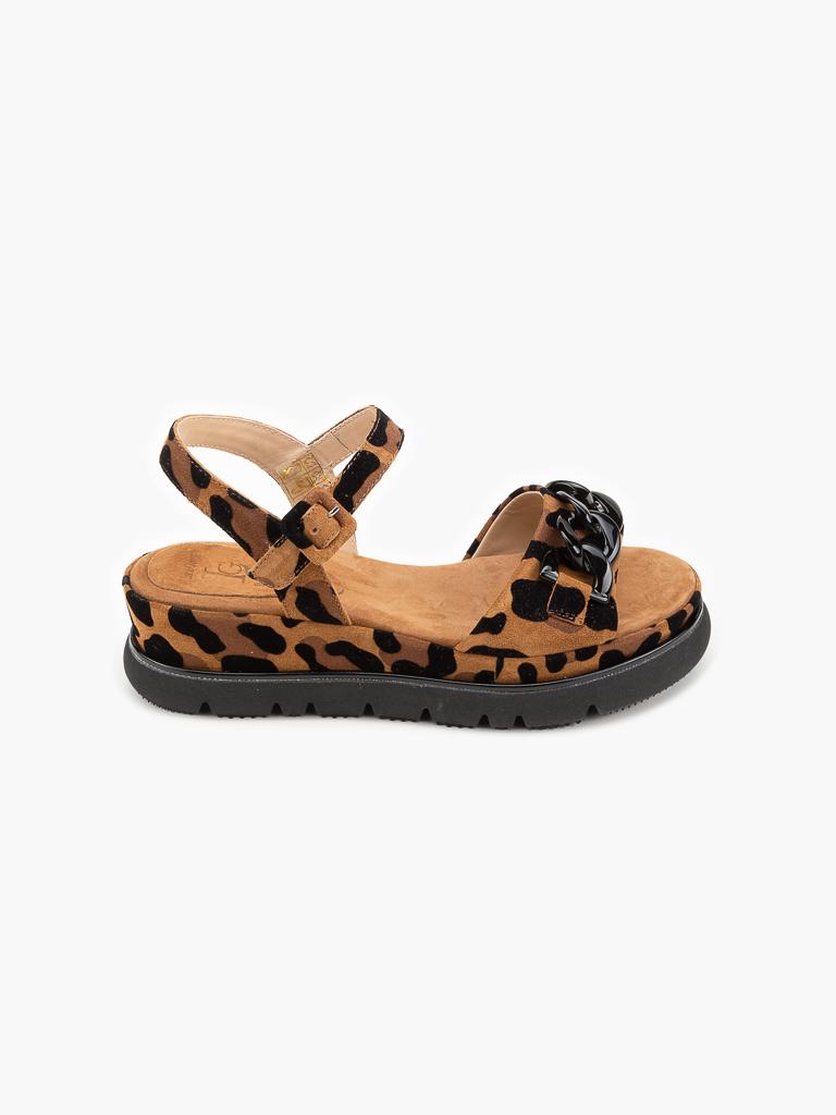 LARA117-LEOPARDO